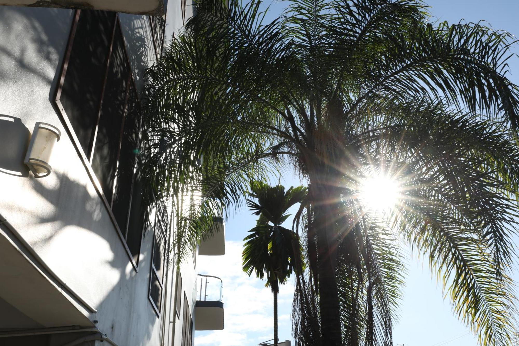 Tropical Plaza Apt Nadi Kültér fotó